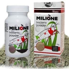 Milione Bacteria Powder 70 g + spoon