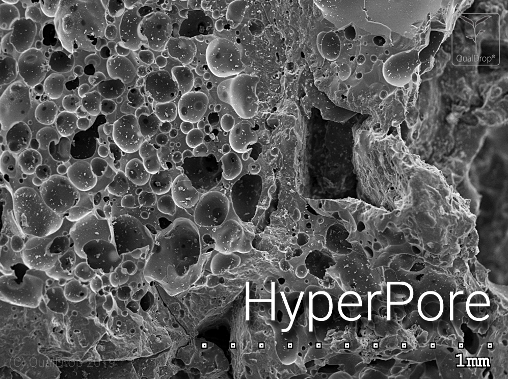 Hyper Pore, structure 00 SEM