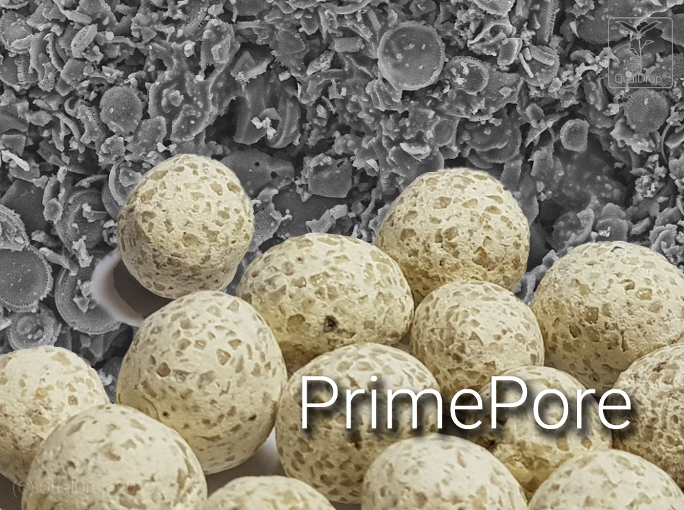 Prime Pore, struktura 02 SEM