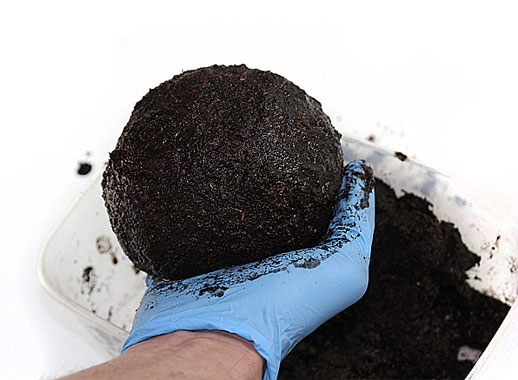 Modeling Soil...