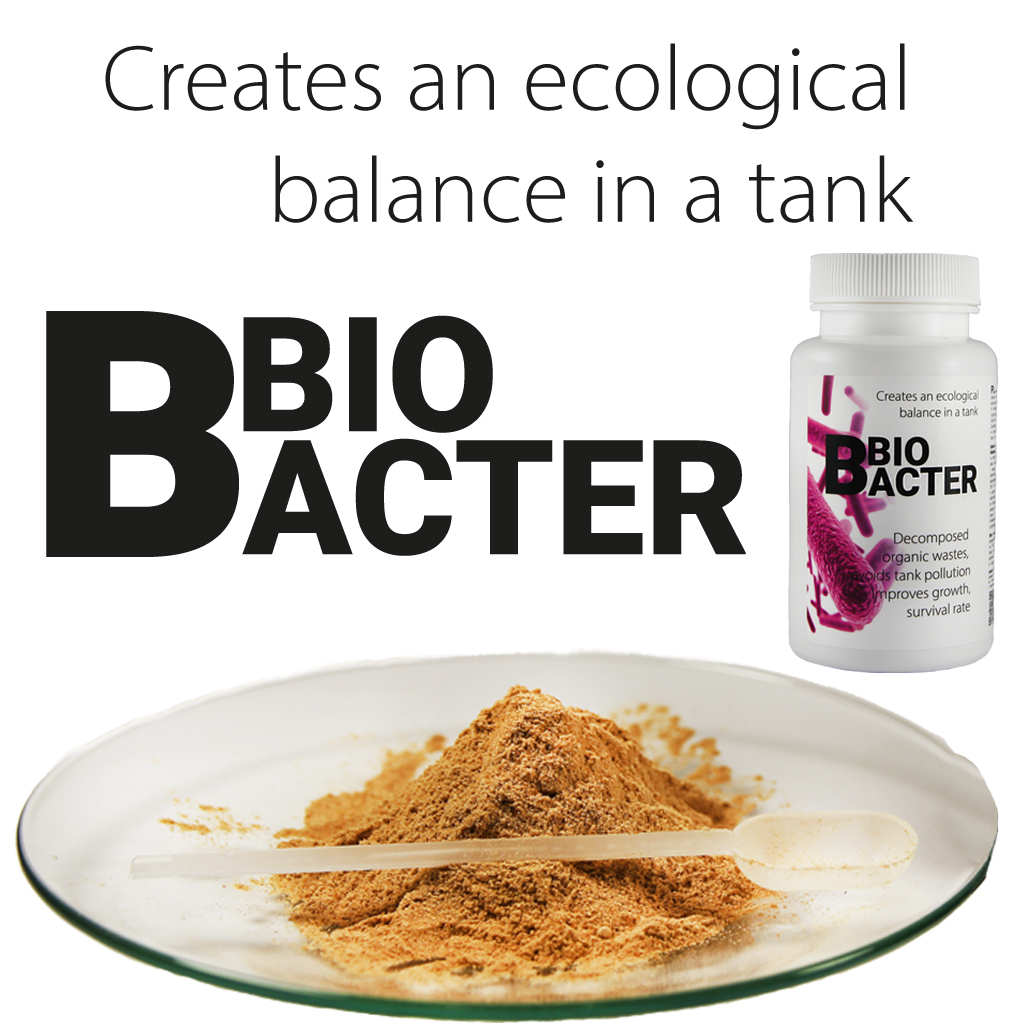 BioBacter 30 g