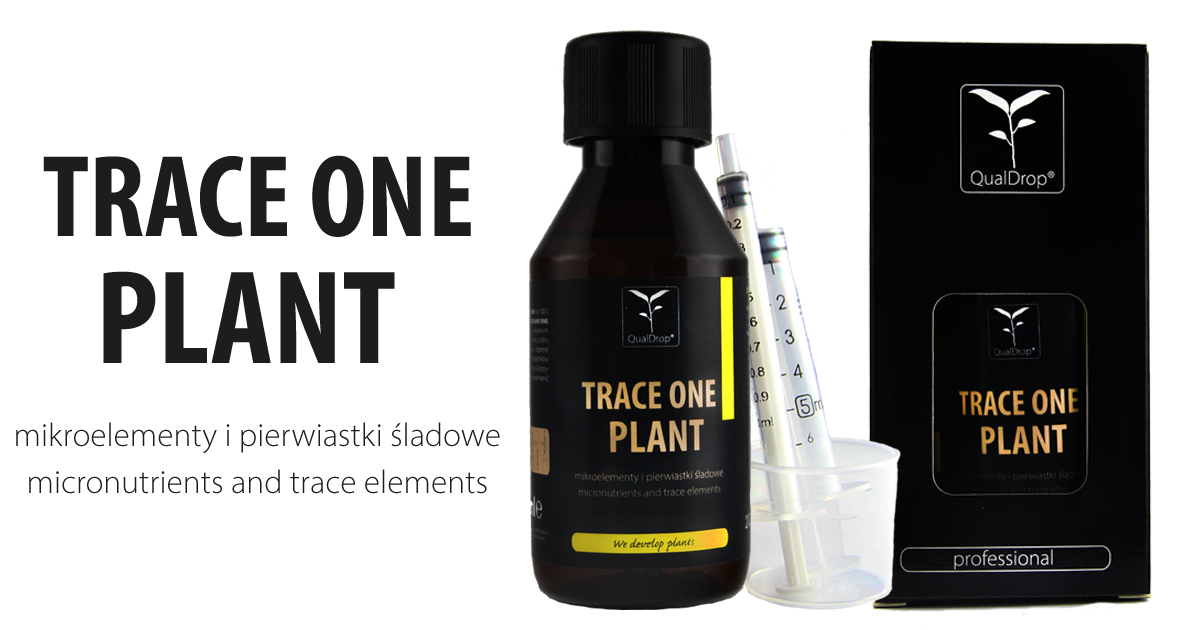 Trace Plant