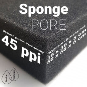 Sponge PORE