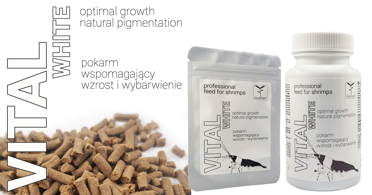 VItal White